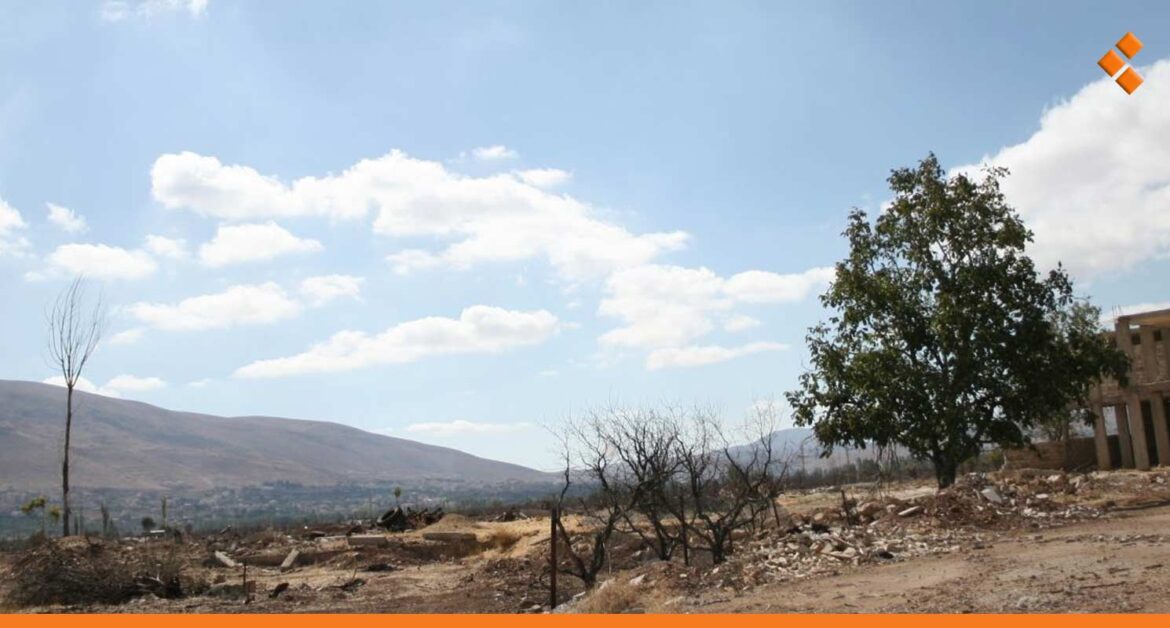 بعد قطع نحو 550 ألف شجرة.. زراعة الزبداني تحتضر