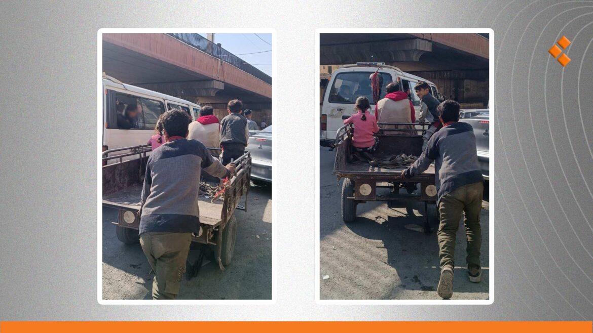 تتسبب بحوادث وإزعاجات.. أهالٍ في حلب يشكون ازدياد انتشار "الطرطيرة"