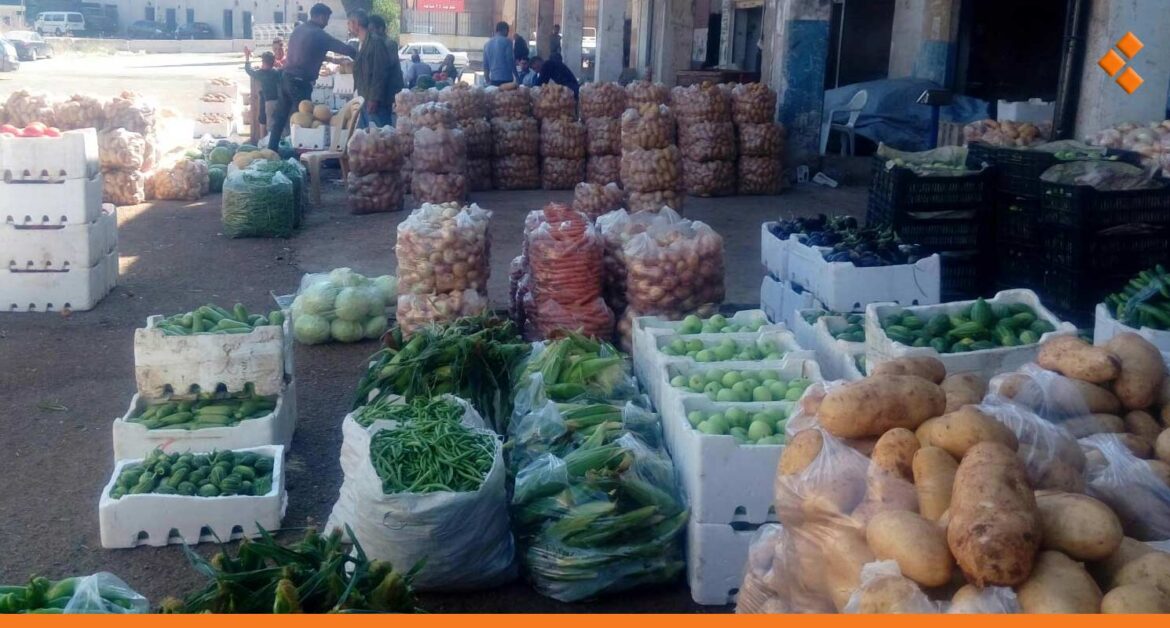 انخفاض أسعار الخضار في حمص 25 % بسبب "البطاطا"