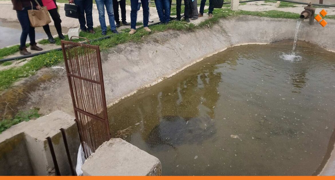 بعد أن غيبها الغلاء.. هل تعيد برك السقاية الأسماك لموائد السوريين؟