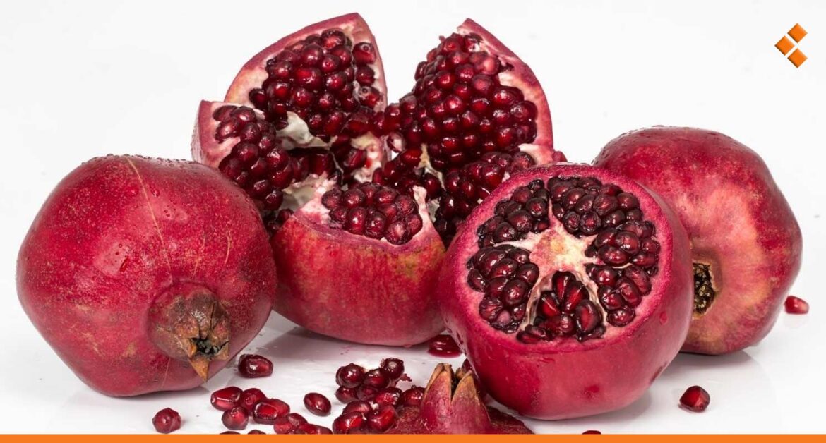انخفاض إنتاج الرمان في سوريا 15% عن العام الفائت