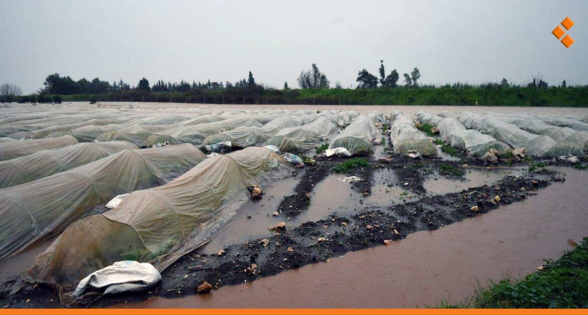 حتى لا يتكرر مشهد الغمر.. محافظة طرطوس تنفّذ 5 عبّارات صندوقية في سهل عكار