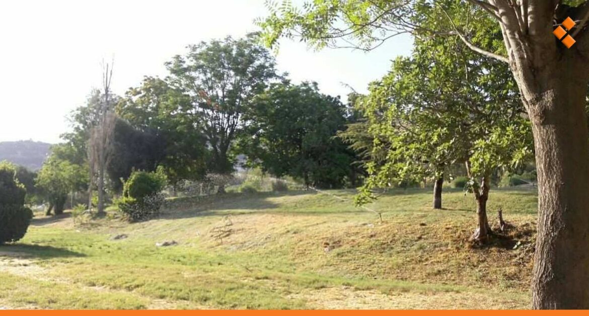 صورة تعبيرية|| حدائق مغلقة في دمشق.. المحافظة توضح السبب