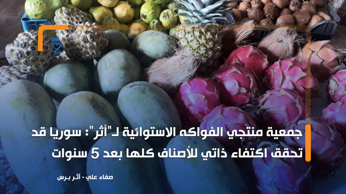 البدء بتصدير الأفوكادو السوري.. مصدر مسؤول: الفواكه الاستوائية السورية تضاهي الأصلية بالجودة