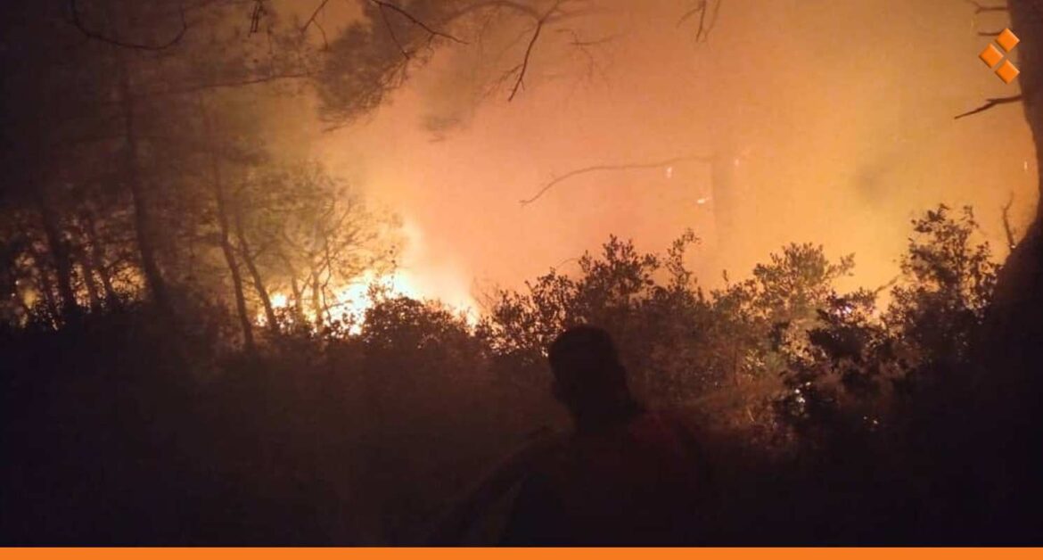 وزارة الزراعة لـ"أثر": الترجيحات الأولية أن حرائق اللاذقية سببها ماس كهربائي!