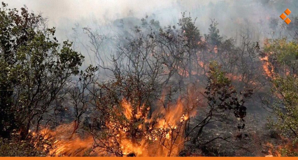 تشكيل لجان لحصر أضرار الحرائق في اللاذقية