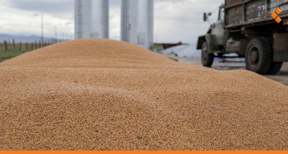 مكتب نقل البضائع في حماة يستنفر لتأمين نقل الحبوب والطحين