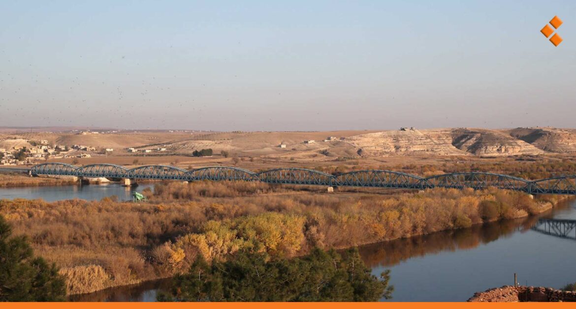 سوريا تخطط للاكتفاء ذاتياً من القمح خلال عام وزيادة حصتها من مياه دجلة والفرات