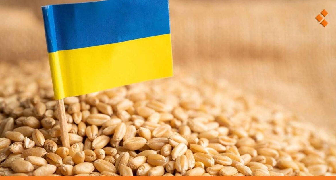 بريطانيا تخصص 3.7 مليون دولار لدعم سوريا بالقمح الأوكراني