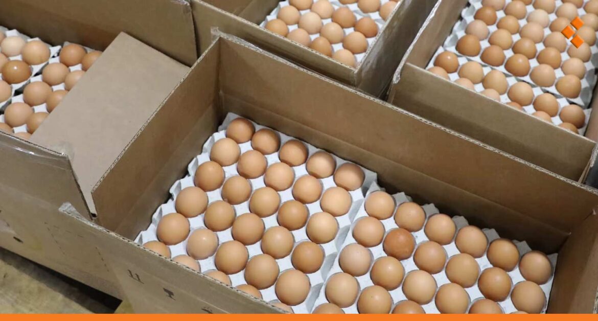 إيقاف استيراد الفروج والبيض في سوريا
