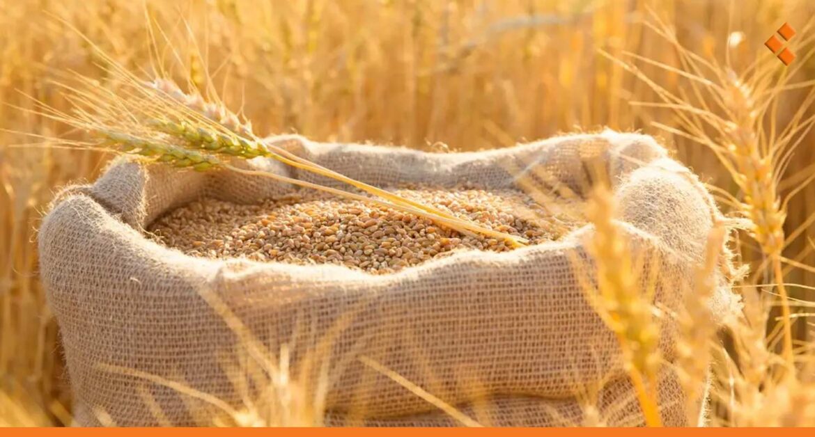 توقعات بتصدير آلاف أطنان الدقيق من تركيا إلى سوريا في 2025