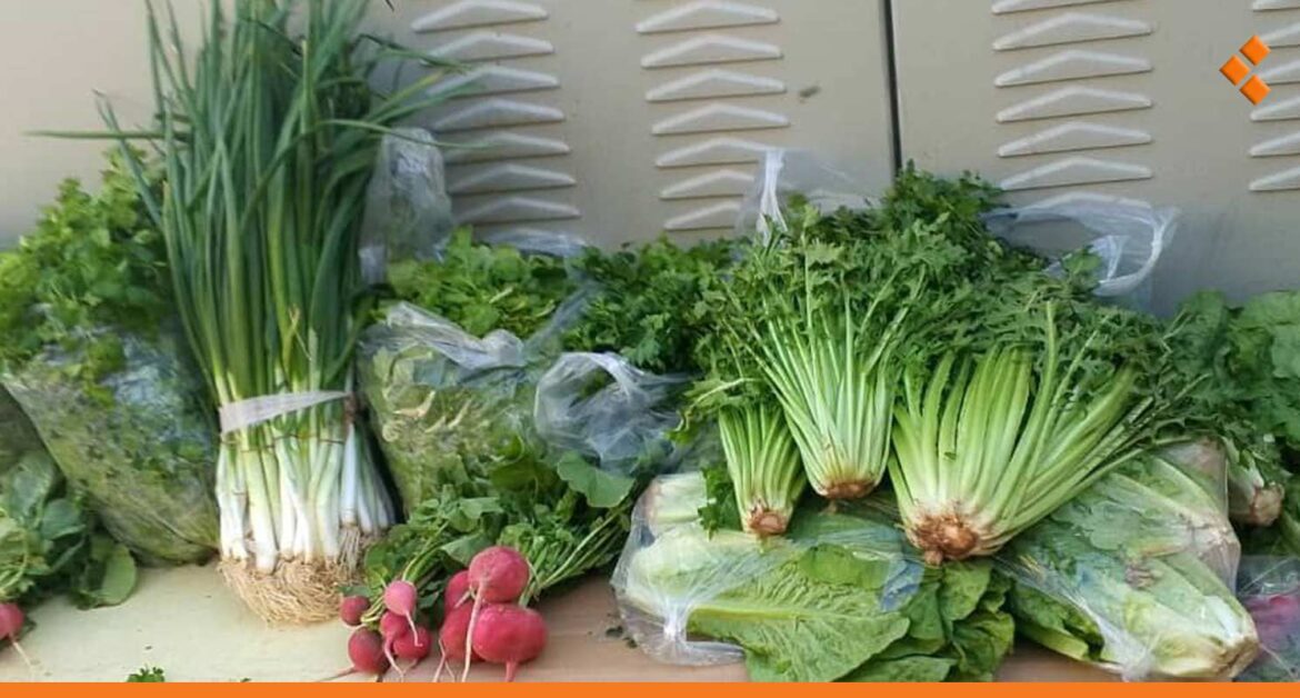 حزمة البقلة بـ 14 ألف.. الخضار الورقية تحارب "صحن الفتوش"