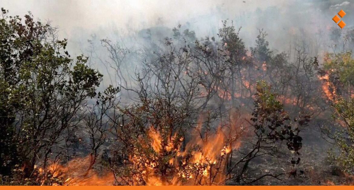 سوريا.. إخماد أكثر من 30 حريق خلال 48 ساعة أغلبها في الساحل