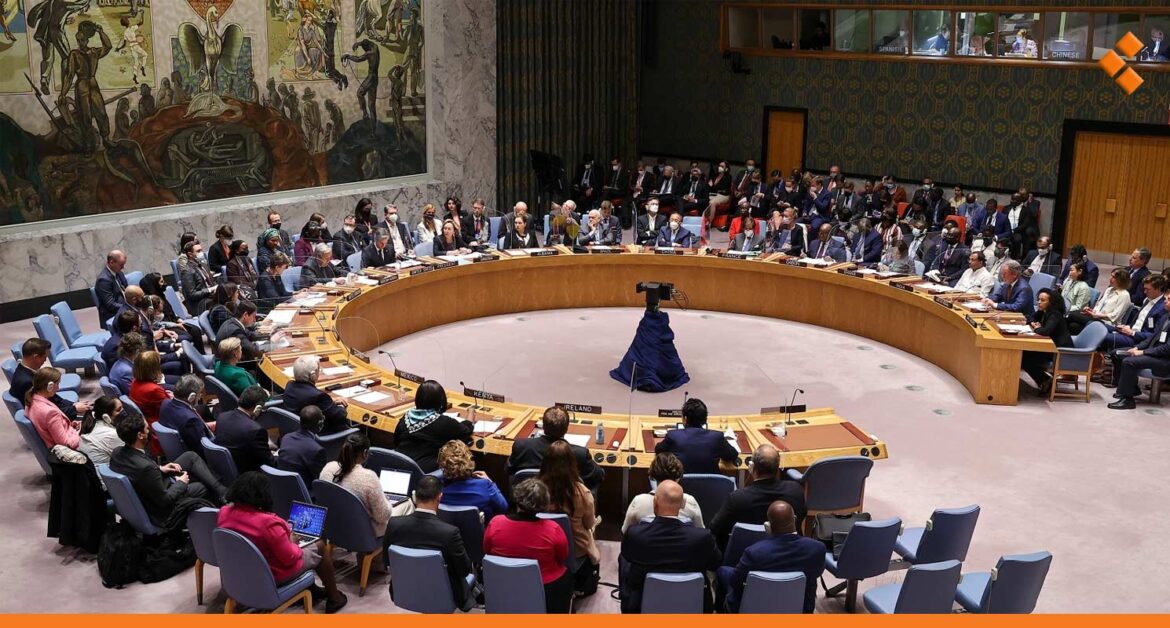 المجموعة العربية في مجلس الأمن تعلّق على "التوغل الإسرائيلي" في سوريا 