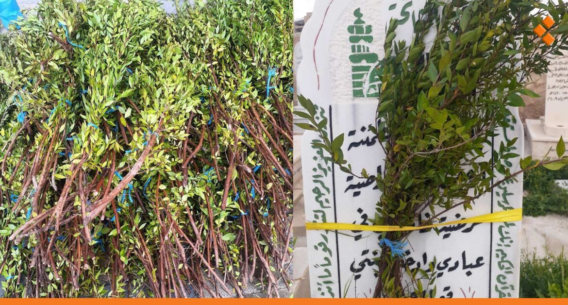 سعر "الآس" لم يتغير.. بكم تباع الحزمة في دمشق؟