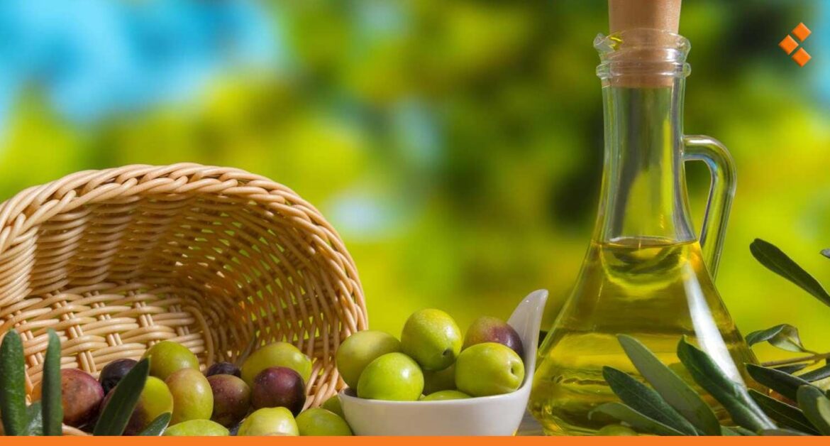 "شراؤه ضعيف بسبب الغش".. توقعات بزيادة إنتاج زيت الزيتون في سوريا 50 % للعام المقبل