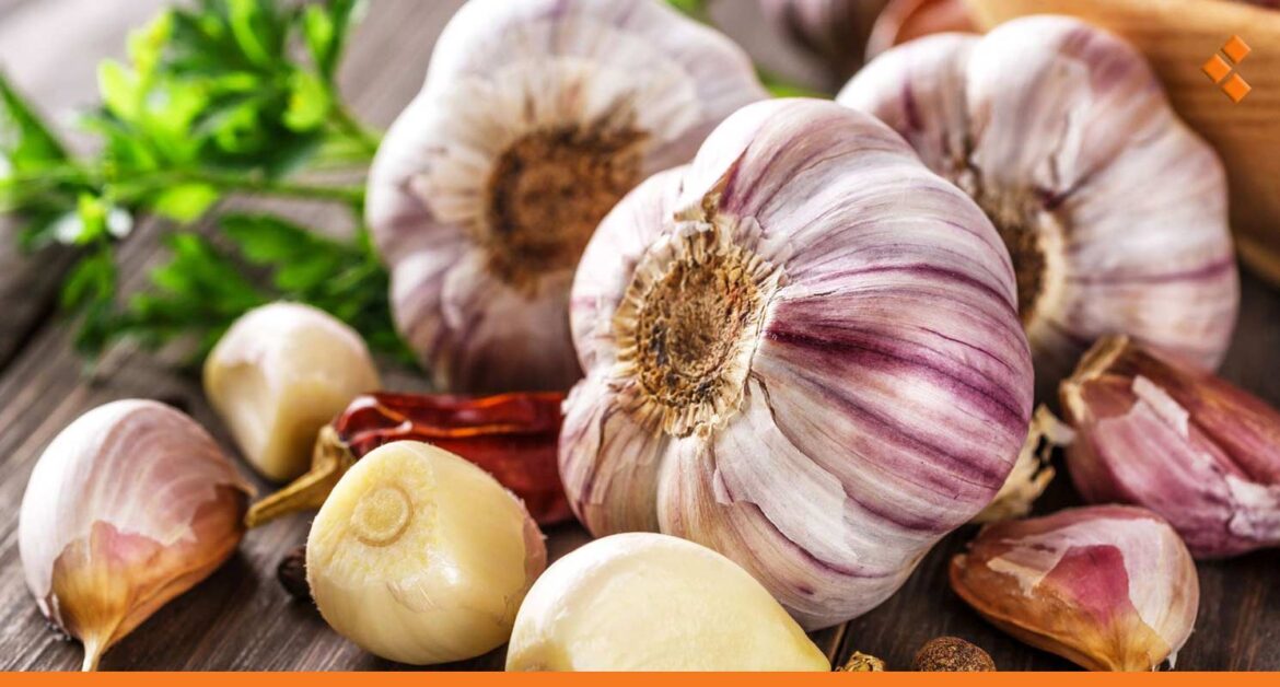 ارتفاع ملحوظ بسعر الثوم في أسواق دمشق