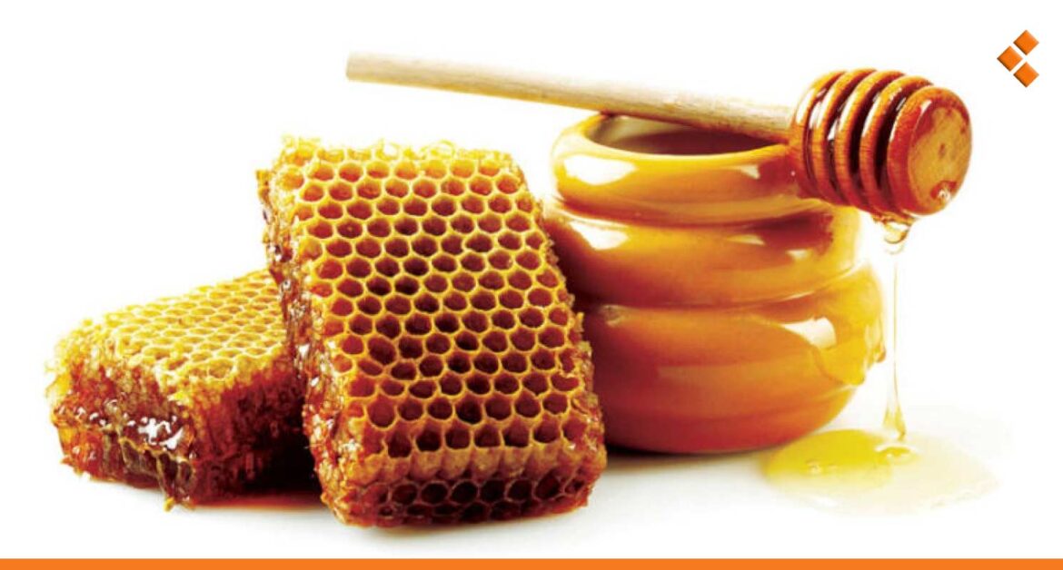 سوريا.. انخفاض طفيف بأسعار العسل مع تحسن تربية النحل