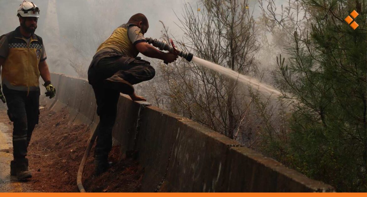 استغرق 4 أيام.. إخماد حريق غابات ربيعة بجبل التركمان في ريف اللاذقية