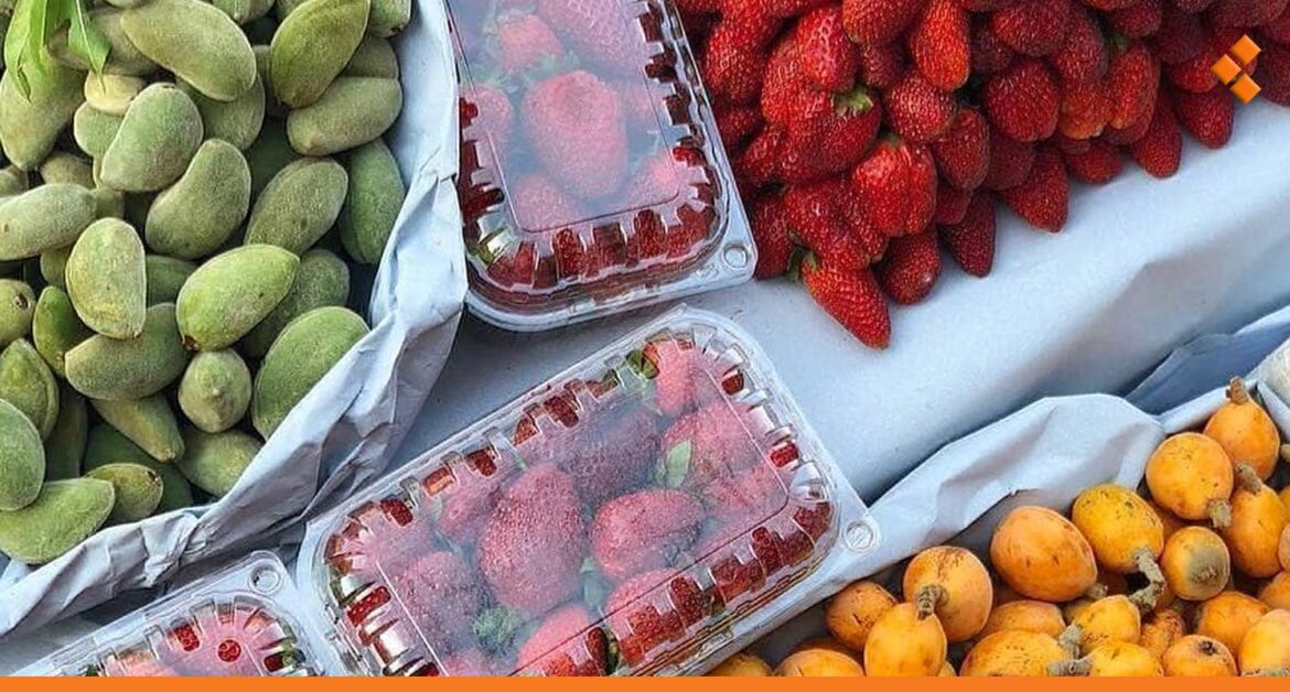 أسعار الفواكه الصيفية مرتفعة.. حبزة: فتح باب التصدير لها سيبقيها كذلك