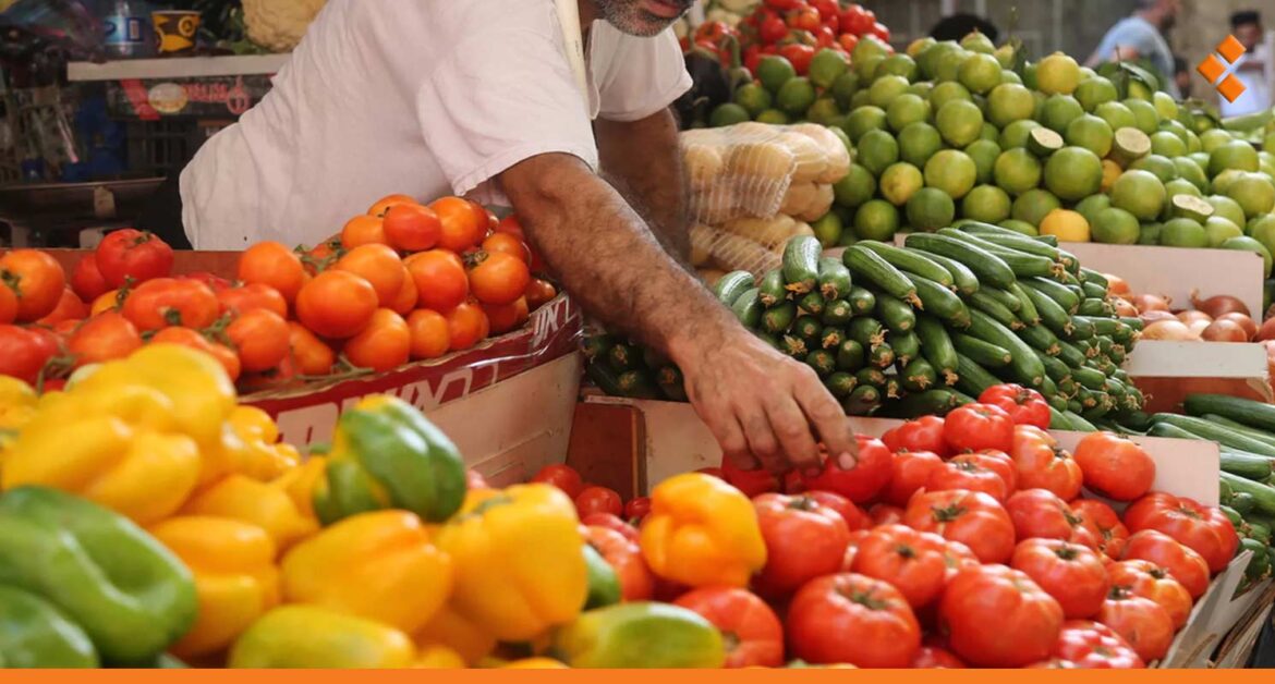 قرار بوقف استيراد أنواع من الخضار.. مصدر بسوق الهال: القرار منصف وهام