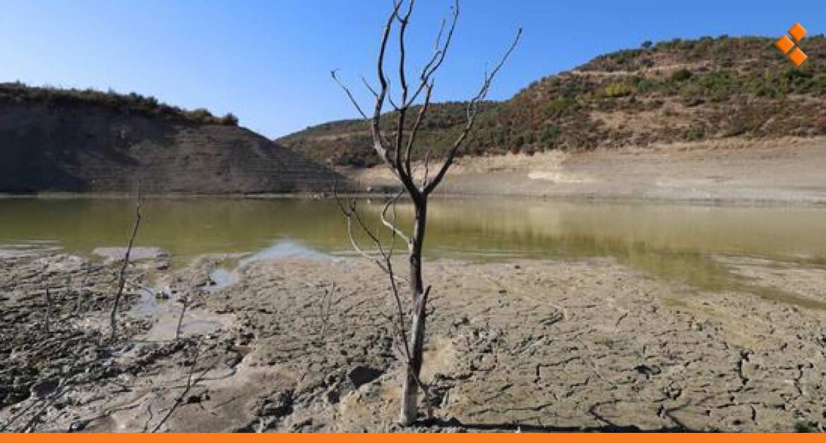 اجراءات إسعافية لمواجهة الجفاف في سوريا.. ما هي؟