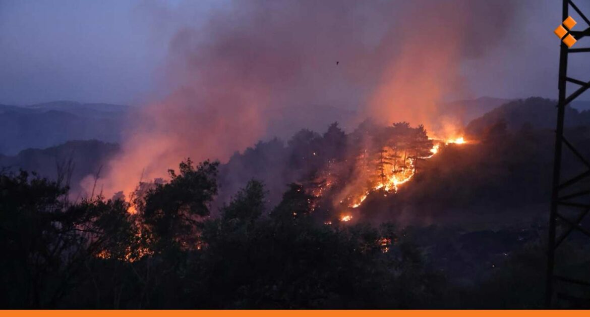 الأمم المتحدة تدعو لحشد دعم دولي لمواجهة حرائق اللاذقية