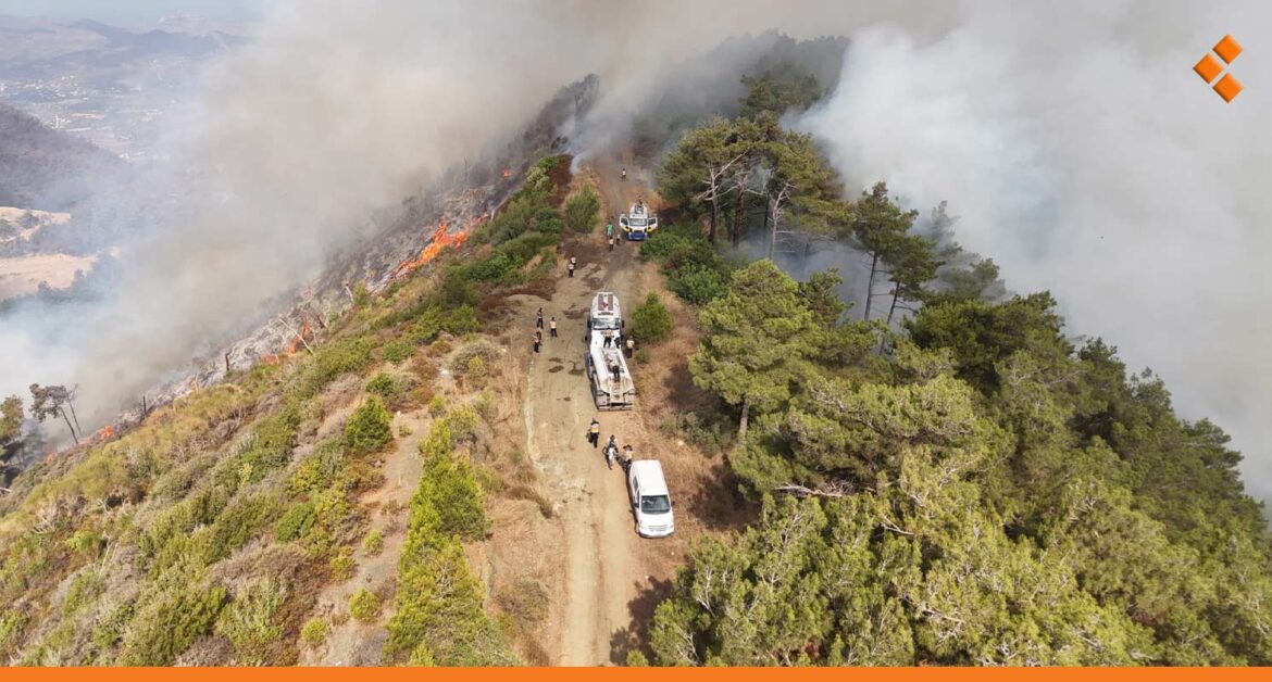 خطة لدعم وتعويض المزارعين المتضررين من حرائق اللاذقية