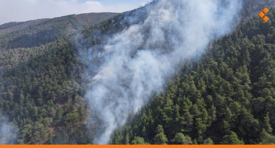 سيطرة شبه كاملة على حرائق اللاذقية المندلعة منذ 8 أيام