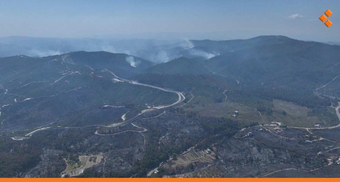 بعد 11 يوم من اندلاعها.. وقف امتداد الحرائق في ريف اللاذقية