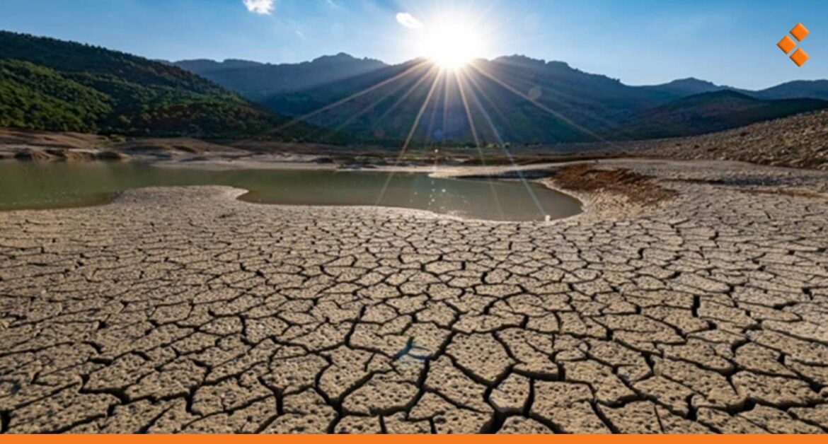 الأمم المتحدة تدعم المتضررين من الجفاف في سوريا بقيمة 7.9 مليون دولار