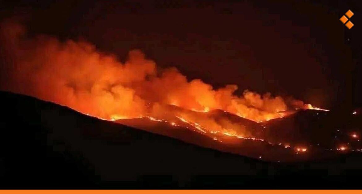 حريق كبير في سهل الغاب واندلاع حرائق أخرى في اللاذقية